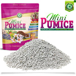 Pumice Stone Volcanic Rock for Bonsai • Succulents • Cactus • Orchids • Hydroponics Grow Media - Indoor/Outdoor Plants - Horticultural Soil Amendment Additive Conditioner