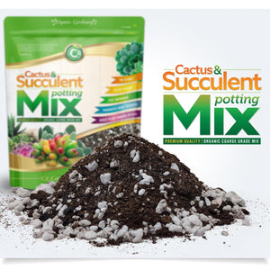 
                  
                    Organic Cactus & Succulent Mix Premium Grade Ingredients - Coco Peat Humus • Perlite • Horticultural Charcoal to Filter Toxins and Improve Plant Growth - Cz Garden Organics
                  
                