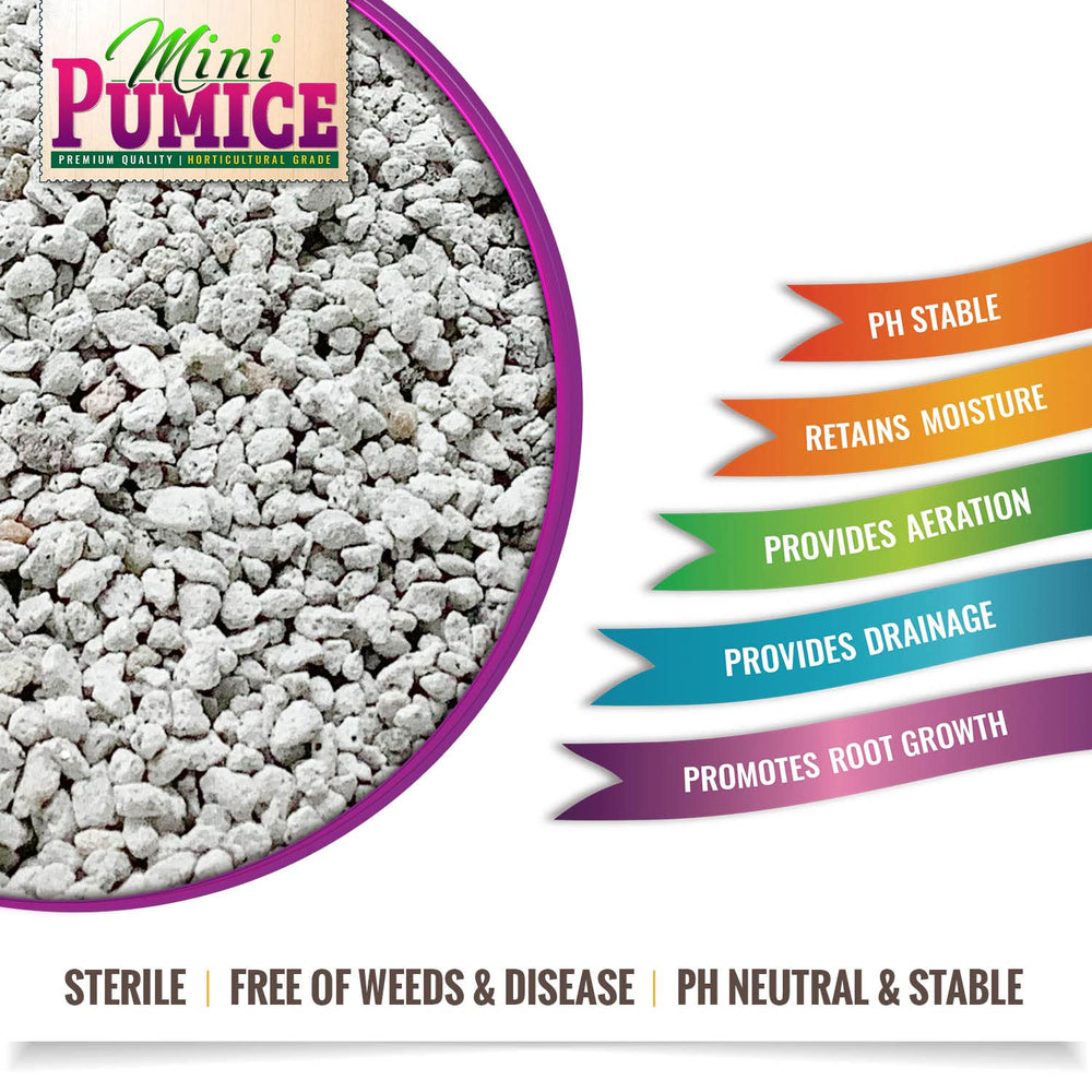 
                  
                    Pumice Stone Volcanic Rock for Bonsai • Succulents • Cactus • Orchids • Hydroponics Grow Media - Indoor/Outdoor Plants - Horticultural Soil Amendment Additive Conditioner
                  
                