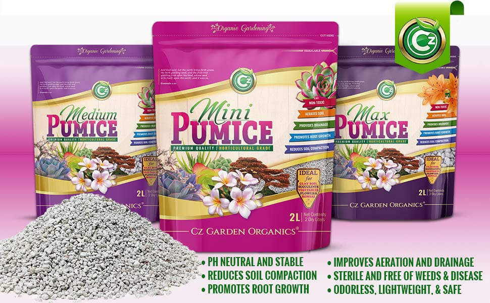 
                  
                    Pumice Stone Volcanic Rock for Bonsai • Succulents • Cactus • Orchids • Hydroponics Grow Media - Indoor/Outdoor Plants - Horticultural Soil Amendment Additive Conditioner
                  
                