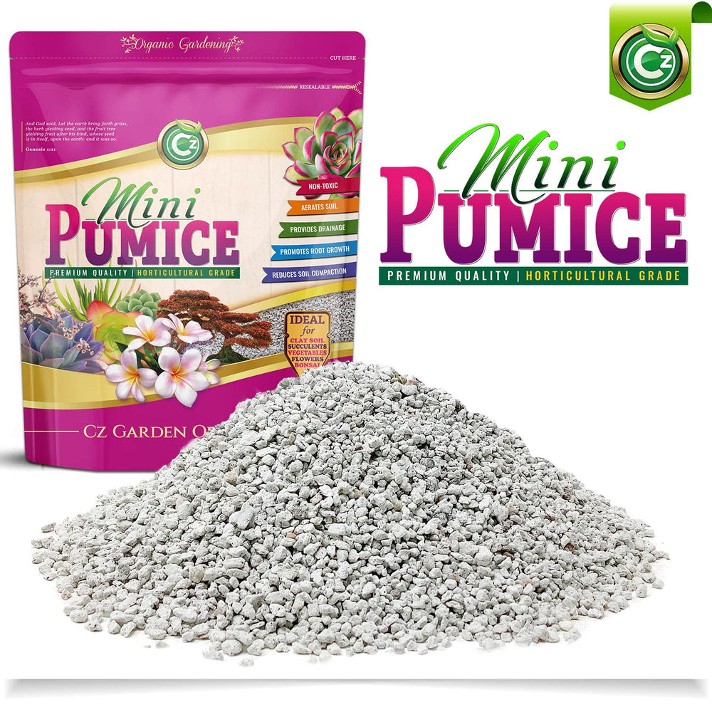 pumice stone succulents Pumice Stone Volcanic Rock for Bonsai • Succulents • Cactus • Orchids – Cz Garden