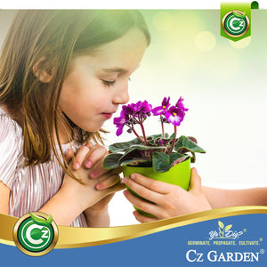 african violet potting mix ingredients Organic African Violet Potting Mix Premium Grade Ingredients