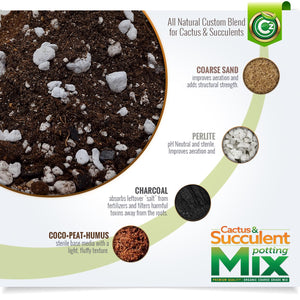 is cocopeat good for succulents Organic Cactus & Succulent Mix Premium Grade Ingredients