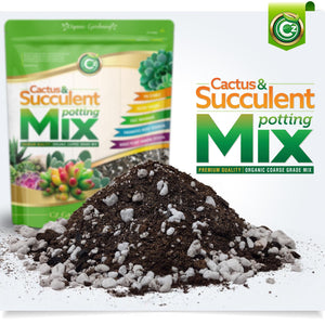 charcoal in succulent soil Organic Cactus & Succulent Mix Premium Grade Ingredients