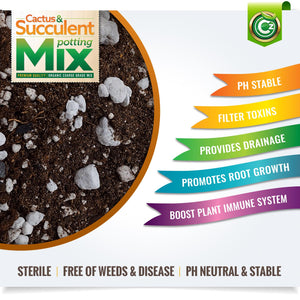charcoal for cactus soil Organic Cactus & Succulent Mix Premium Grade Ingredients