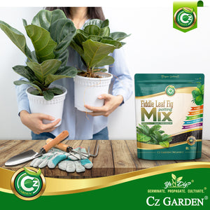 
                  
                    Organic Ficus Lyrata - Fiddle Leaf Fig Potting Soil Mix - Premium Grade Ingredients - Fir Bark and Biochar Activated Charcoal to Filter Toxins and Boost Immune System (Cz Garden Organics 4L)
                  
                
