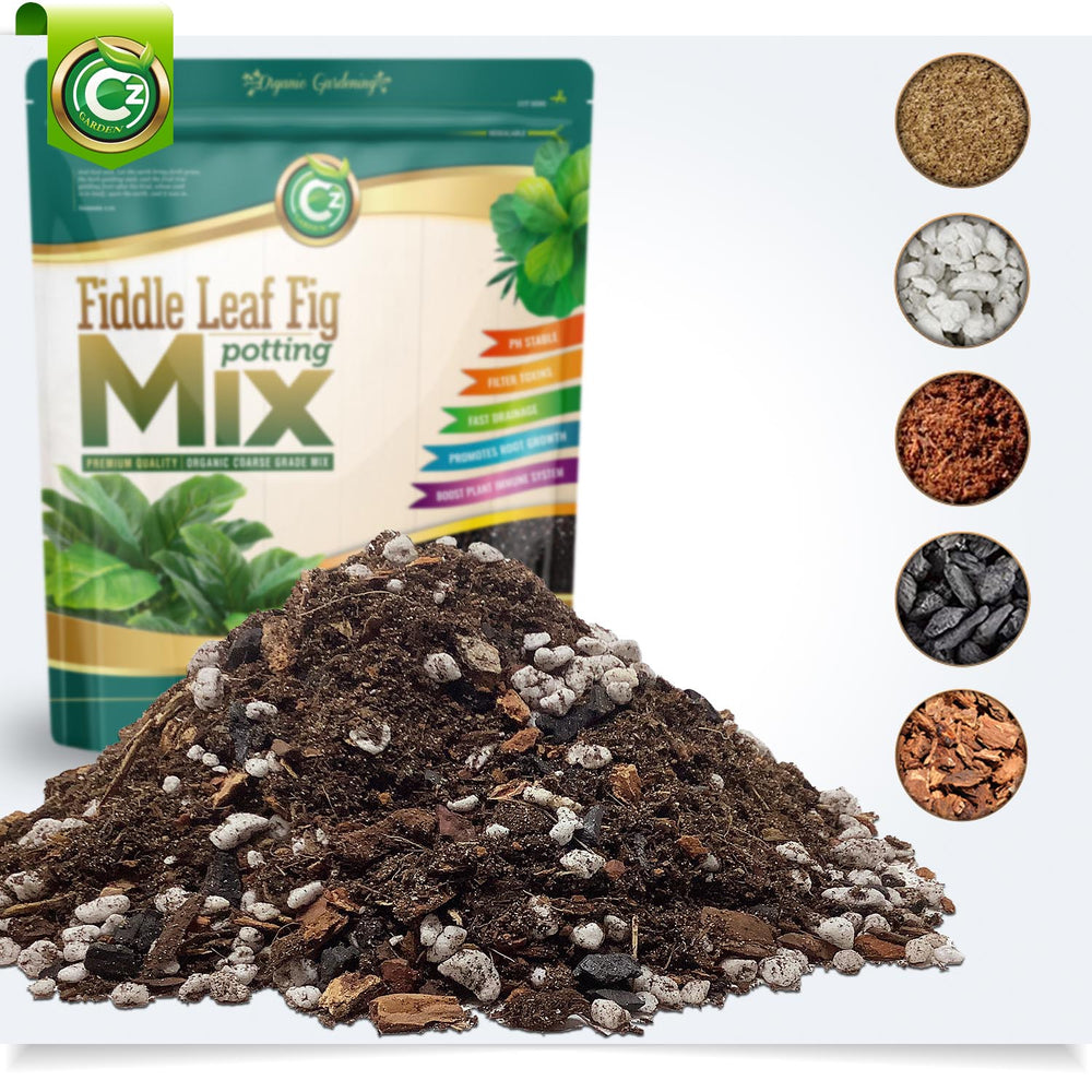 fiddle.leaf fig soil Organic Ficus Lyrata - Fiddle Leaf Fig Potting Soil Mix