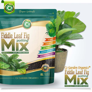 potting mix fiddle leaf fig Organic Ficus Lyrata - Fiddle Leaf Fig Potting Soil Mix