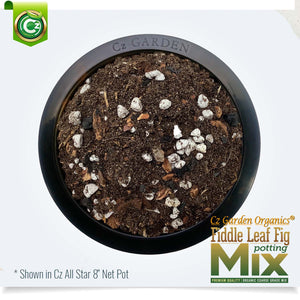 soil mix fiddle leaf fig Organic Ficus Lyrata - Fiddle Leaf Fig Potting Soil Mix