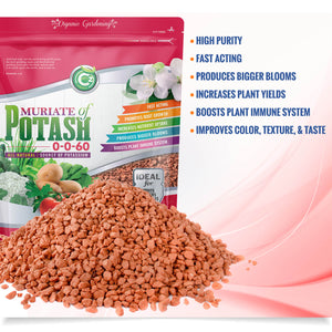 
                  
                    Muriate of Potash 0-0-60 Fertilizer - Pure Potassium Plant Food for Indoor/Outdoor Plants - Enhances Color, Texture, Taste, Yield of Fruit, Vegetables, Holistic Herbs, Trees
                  
                