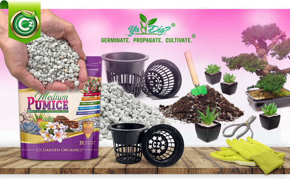 pumice stone potting mix Pumice Stone Volcanic Rock for Bonsai • Succulents • Cactus • Orchids – Cz Garden