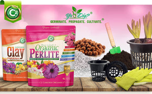 
                  
                    Organic Perlite for Indoor/Outdoor Plants - Horticultural Soil Amendment Additive Conditioner - Grow Media for Succulents • Orchids • Hydroponics
                  
                