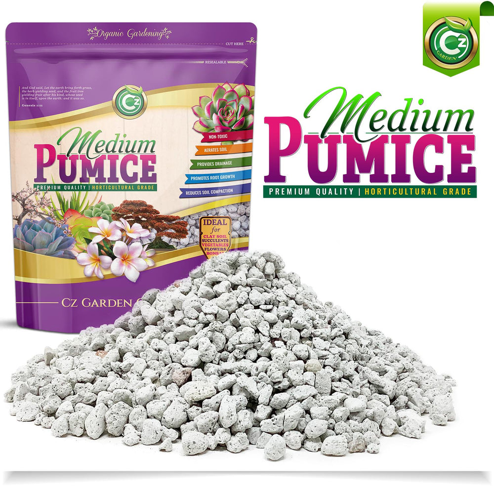 best size pumice for succulents Pumice Stone Volcanic Rock for Bonsai • Succulents • Cactus • Orchids – Cz Garden