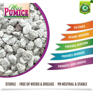 pumice stone for succulents Pumice Stone Volcanic Rock for Bonsai • Succulents • Cactus • Orchids – Cz Garden