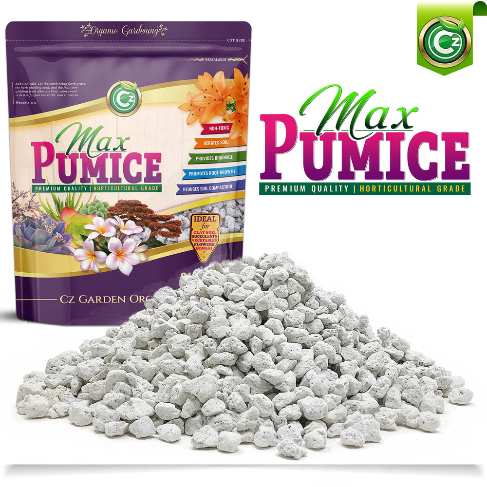 pumice rock for succulents Pumice Stone Volcanic Rock for Bonsai • Succulents • Cactus • Orchids – Cz Garden