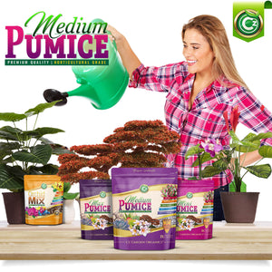 pumice for indoor plants Pumice Stone Volcanic Rock for Bonsai • Succulents • Cactus • Orchids – Cz Garden