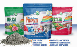 
                  
                    Triple Super Phosphate 0-46-0 Fertilizer - Bloom Booster - Pure Phosphorus Plant Food for Indoor/Outdoor Plants - Fruits, Vegetables, Holistic Herbs, Trees
                  
                