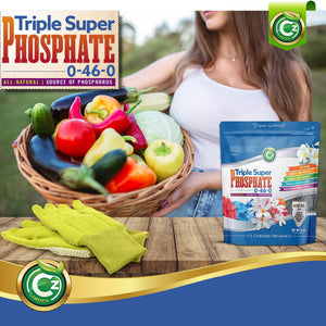 
                  
                    Triple Super Phosphate 0-46-0 Fertilizer - Bloom Booster - Pure Phosphorus Plant Food for Indoor/Outdoor Plants - Fruits, Vegetables, Holistic Herbs, Trees
                  
                
