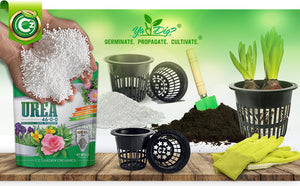 
                  
                    Urea Fertilizer 46-0-0 Plant Food for Indoor, Outdoor Plants - Promotes Lush Growth - Pure Water Soluble for Green Lawns, Fruits, Vegetables and Tie Dye Granules Prills
                  
                