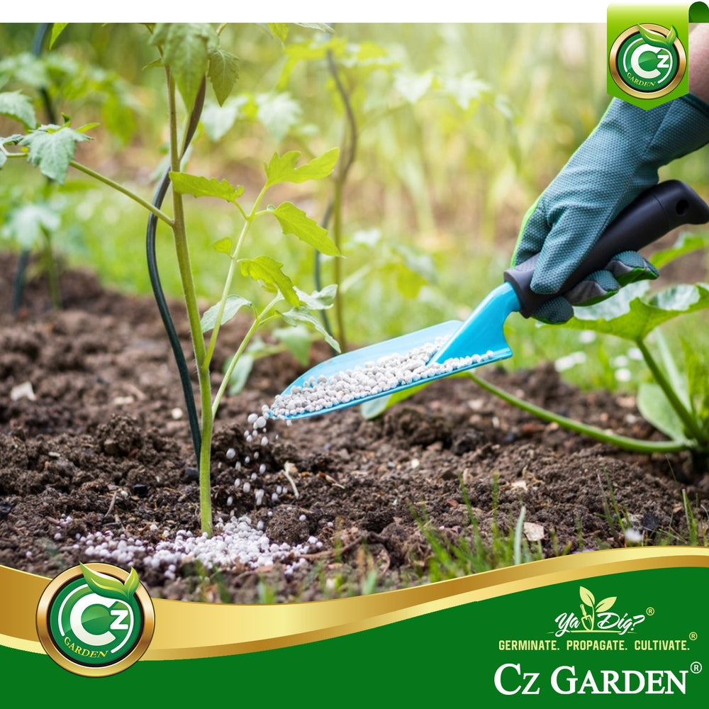 
                  
                    Urea Fertilizer 46-0-0 Plant Food for Indoor, Outdoor Plants - Promotes Lush Growth - Pure Water Soluble for Green Lawns, Fruits, Vegetables and Tie Dye Granules Prills
                  
                