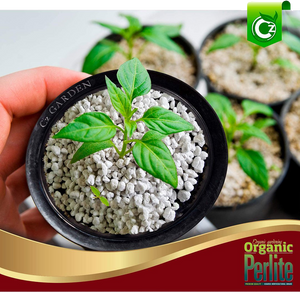 
                  
                    organic-coarse-perlite-for-all-plants-horticultural-soil-additive-conditioner-mix
                  
                