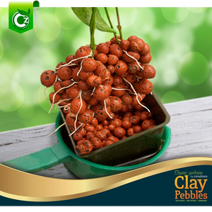 
                  
                    organic-expanded-clay-pebbles-grow-media-for-orchids-hydroponics-aquaponics-aquaculture-garden
                  
                