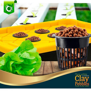 clay hydroponic planter Organic Expanded Clay Pebbles Grow Media for Orchids, NFT DWC Hydropon – Cz Garden
