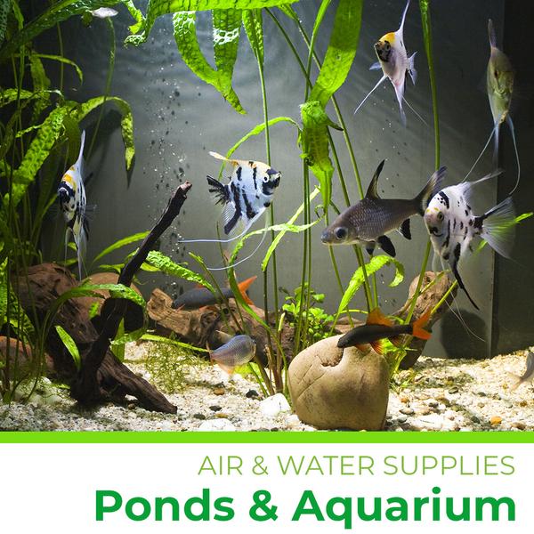 🔴 How to Lower pH in Freshwater Aquariums Spaghnum Moss, Peat Moss, Co2,  Catappa Leaves and More 
