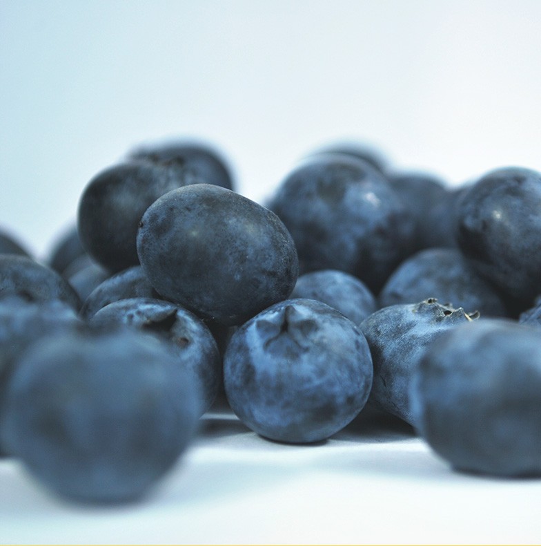 8-4.jpg