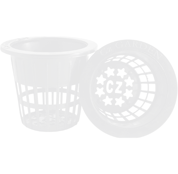 Untitled-design6.png