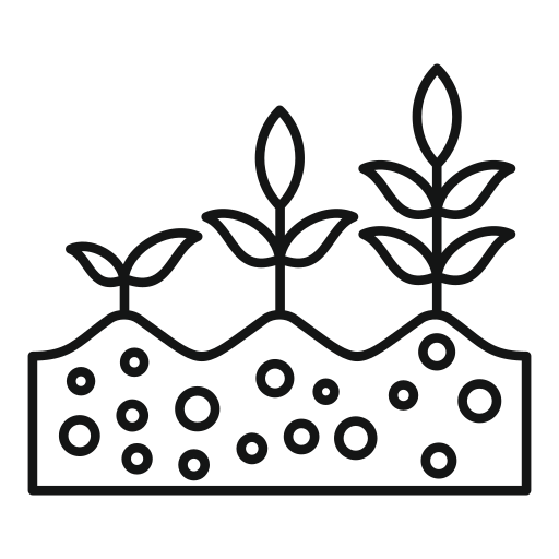 plants.png