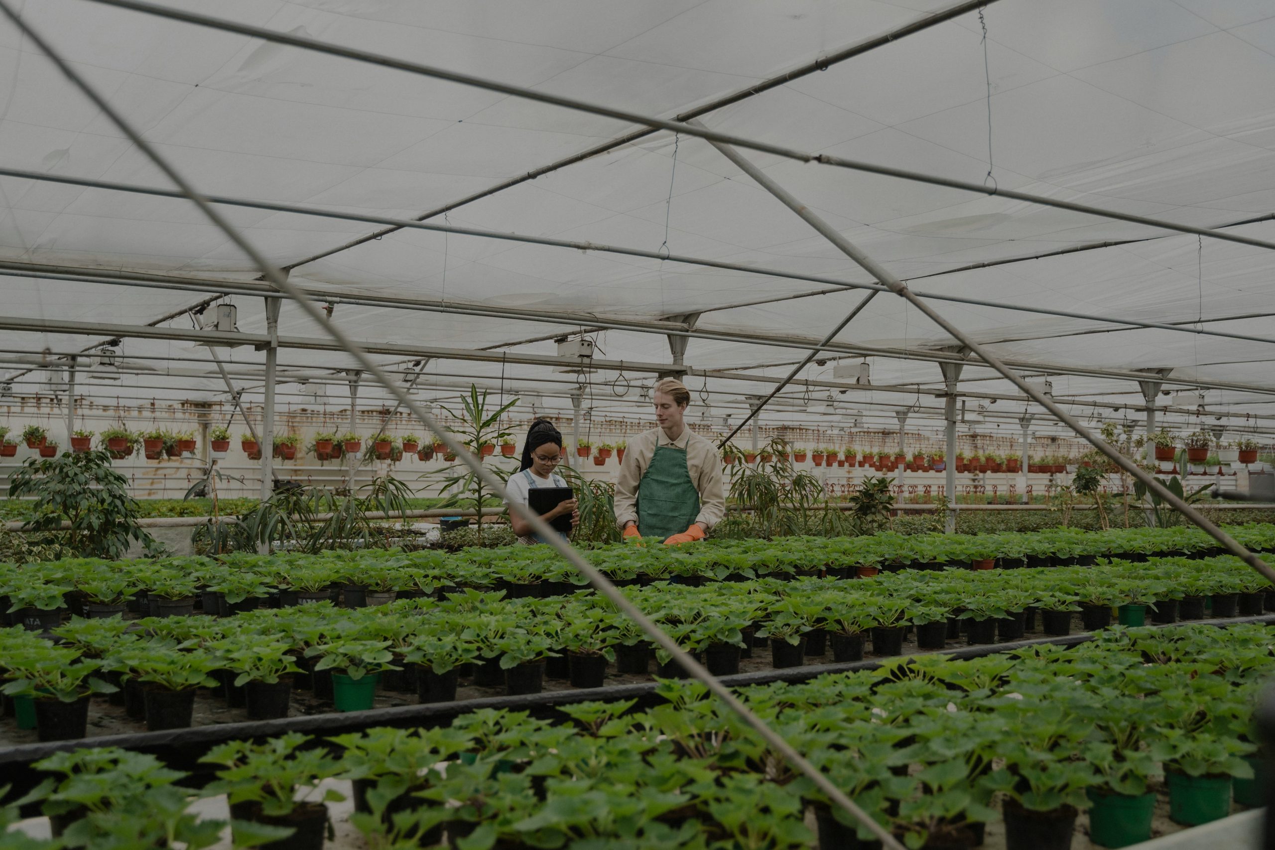 professional-grade-gardening_1-scaled.jpg