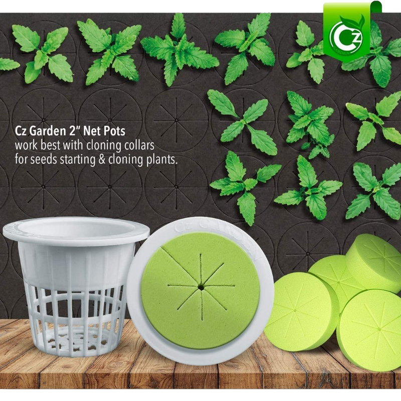 2 Inch Net Pots Cups Heavy Duty Round Wide Rim Design - WHITE - Image 3