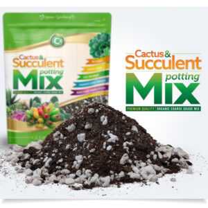 Organic Cactus & Succulent Mix Premium Grade Ingredients - Coco Peat Humus • Perlite • Horticultural Charcoal to Filter Toxins and Improve Plant Growth - Cz Garden Organics