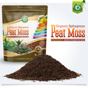 Organic XL Expanded Clay Pebbles Grow Media for Orchids, NFT DWC Hydroponics, Aquaponics, Aquaculture LECA Plant Garden Soil Conditioner Amendment Ceramsite Aggregate