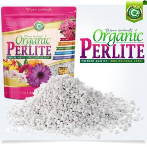Organic Perlite for Indoor/Outdoor Plants - Horticultural Soil Amendment Additive Conditioner - Grow Media for Succulents • Orchids • Hydroponics