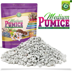 Pumice Stone Volcanic Rock for Bonsai • Succulents • Cactus • Orchids • Hydroponics Grow Media - Indoor/Outdoor Plants - Horticultural Soil Amendment Additive Conditioner - Cz Garden Organics…