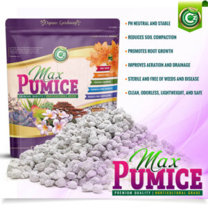 Pumice Stone Volcanic Rock for Bonsai • Succulents • Cactus • Orchids • Hydroponics Grow Media - Indoor/Outdoor Plants - Horticultural Soil Amendment Additive Conditioner - Cz Garden Organics…