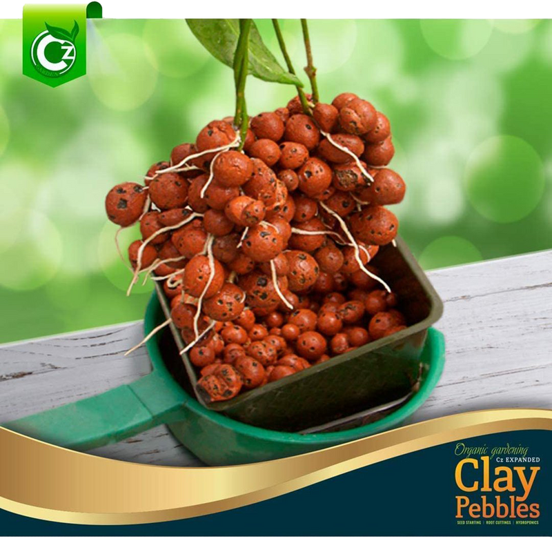 Organic Expanded Clay Pebbles Grow Media for Orchids, NFT DWC Hydroponics, Aquaponics, Aquaculture LECA Plant Garden Soil Conditioner Amendment Ceramsite Aggregate - Image 2