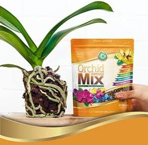 Orchid Potting Mix - Made in USA - Premium Grade Recipe for Proper Root Development - Phalaenopsis, Cattleyas, Dendrobiums, Oncidiums and More! Fir Bark, Charcoal, Coconut Husk, Clay Pebbles - Image 6