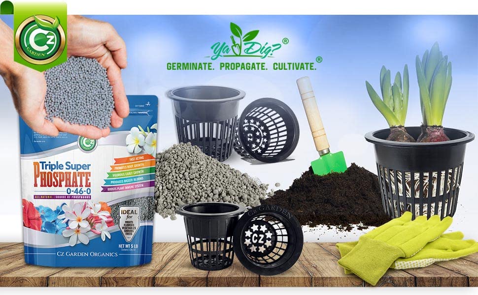 Triple Super Phosphate 0-46-0 Fertilizer - Made in USA - Bloom Booster - TSP Pure Phosphorus Plant Food for Indoor/Outdoor Plants and Flower Gardens - Fruit, Vegetables, Holistic Herbs, Trees & More! - Image 3