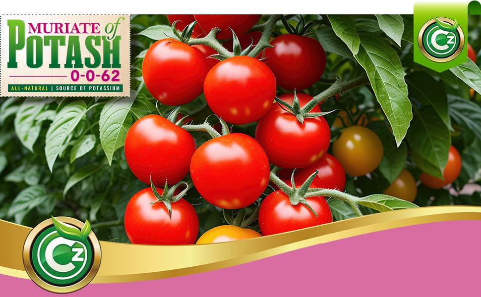 Muriate of Potash 0-0-62 Fertilizer Made in USA - MOP Potassium Plant Food for Indoor/Outdoor Plants, Flower Gardens, Fruit and Vegetable Gardens, Holistic Herbs, Trees and Green Lawns! - Image 4