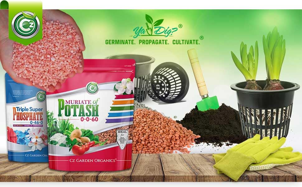 Muriate of Potash 0-0-60 Fertilizer Made in USA - MOP Potassium Plant Food for Indoor/Outdoor Plants, Flower Gardens, Fruit and Vegetable Gardens, Holistic Herbs, Trees and Green Lawns! - Image 3