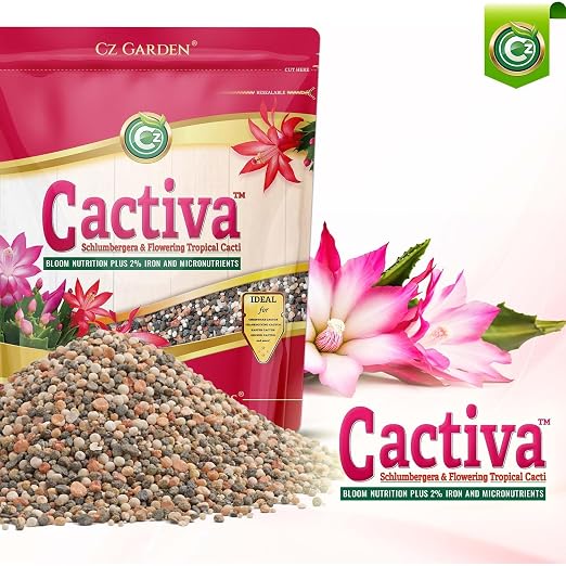Cactiva™ Christmas Cactus Fertilizer - Made in USA - 2% Iron Bloom Nutrition for Schlumbergera, Thanksgiving, Easter & Orchid Cactus - Image 2