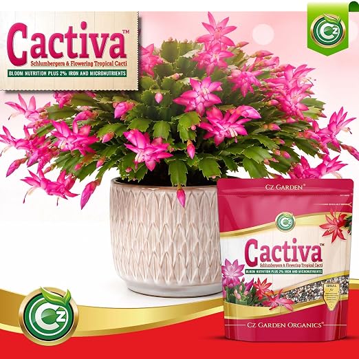 Cactiva™ Christmas Cactus Fertilizer - Made in USA - 2% Iron Bloom Nutrition for Schlumbergera, Thanksgiving, Easter & Orchid Cactus - Image 3