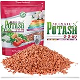 11-52-0 MAP Fertilizer - Made in USA - Nitrogen and Phosphorus Plant Food for Indoor/Outdoor Plants & Flower Gardens - Promotes Vigorous Growth and Big Blooms! - Image 3