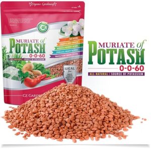 Muriate of Potash 0-0-60 Fertilizer Made in USA - MOP Potassium Plant Food for Indoor/Outdoor Plants, Flower Gardens, Fruit and Vegetable Gardens, Holistic Herbs, Trees and Green Lawns!