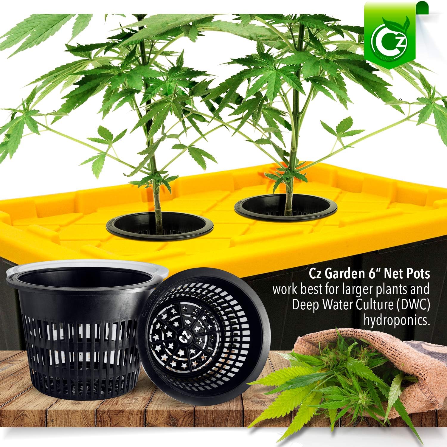 6 inch Net Pots Heavy Duty Round Cups Wide Rim Design - Orchids • Aquaponics • Aquaculture • Hydroponics Slotted Mesh (Cz All Star 10 Black Pots) - Image 2