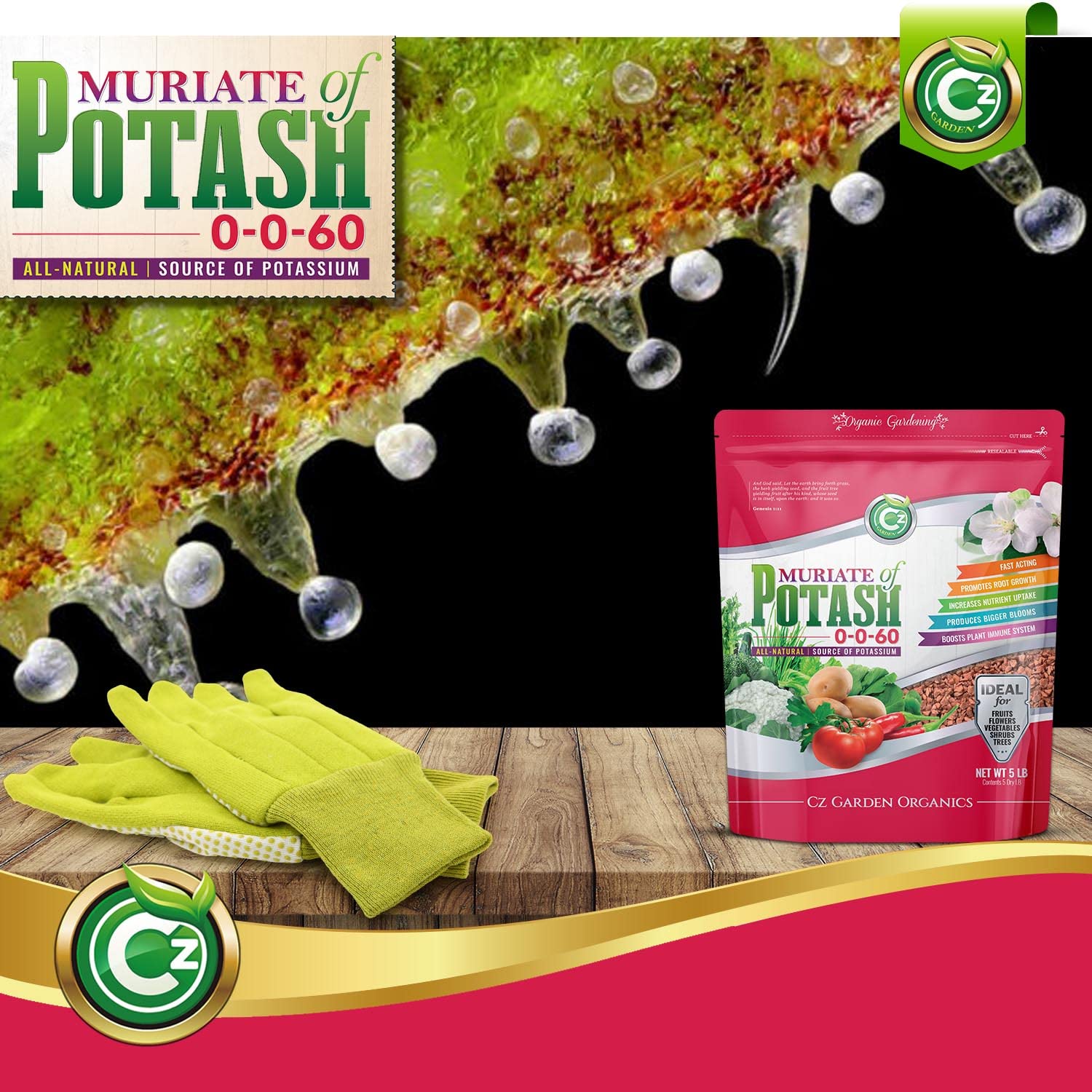 Muriate of Potash 0-0-60 Fertilizer Made in USA - MOP Potassium Plant Food for Indoor/Outdoor Plants, Flower Gardens, Fruit and Vegetable Gardens, Holistic Herbs, Trees and Green Lawns! - Image 4