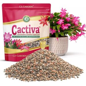 Cactiva™ Christmas Cactus Fertilizer - Made in USA - 2% Iron Bloom Nutrition for Schlumbergera, Thanksgiving, Easter & Orchid Cactus